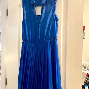 Royal Blue American Eagle Dress